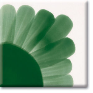 PODGLAZURNE TEKUĆE BOJE - HCT Bottle Green