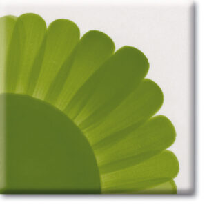 PODGLAZURNE TEKUĆE BOJE - HCT Leaf Green