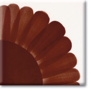 PODGLAZURNE TEKUĆE BOJE - HCT Dark Brown